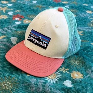 Patagonia Mesh Hat